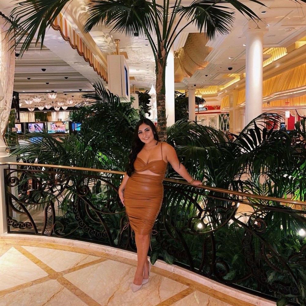 FASHION NOVA DRESS
